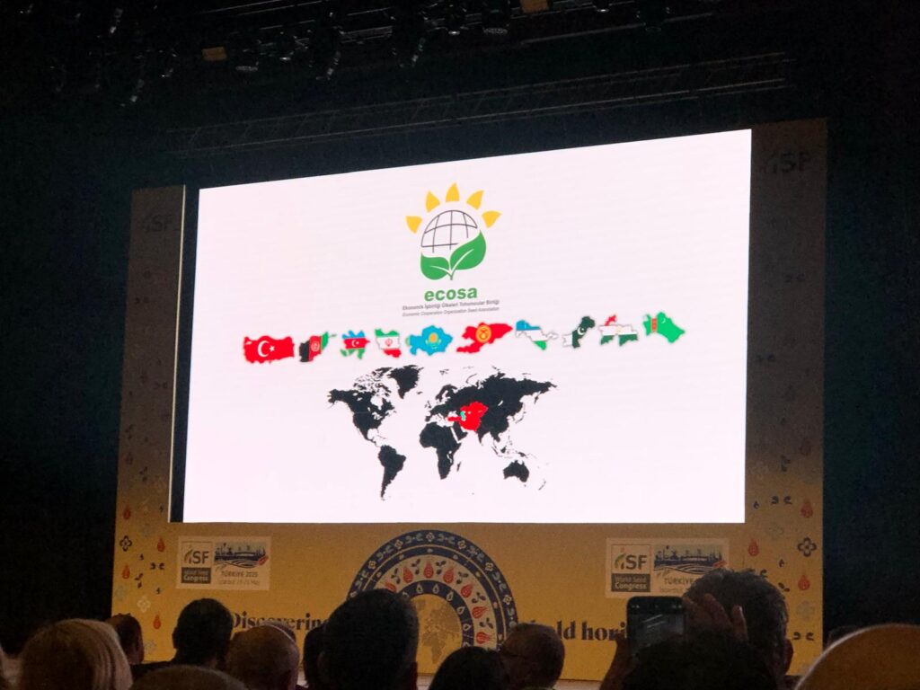 dünya tohum festivali