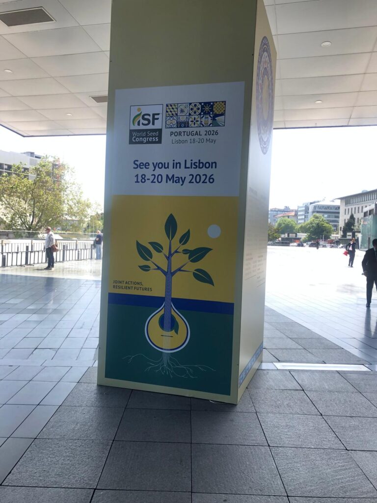 dünya tohum festivali